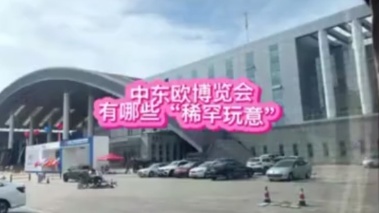 第二届中国-中东欧博览会有哪些“稀罕玩意”？